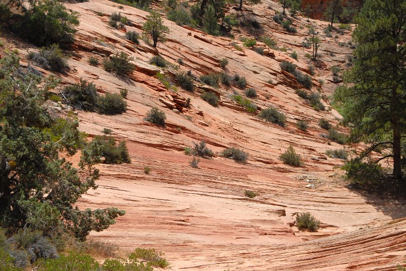2011-07-13_Zion Canyon-Tag18_018.jpg